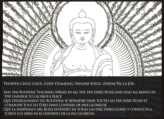 May the Buddha's Teaching spread in all the ten directions and lead all beings in the universe to glorious peace